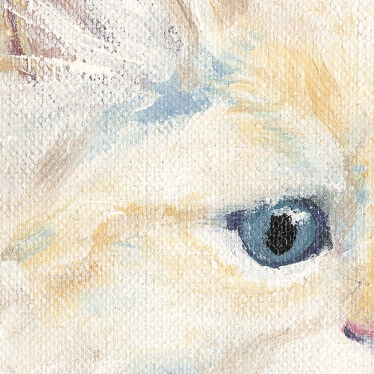 Beau