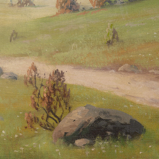 Stream Walk