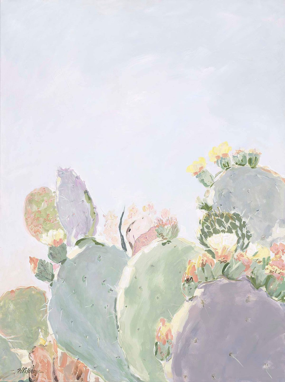 Cacti