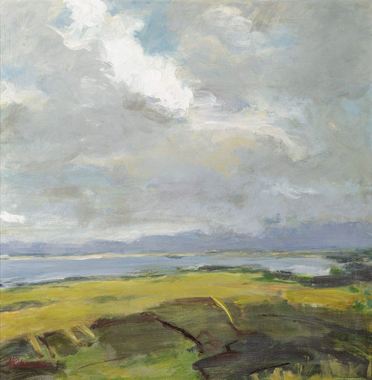 Mesa View