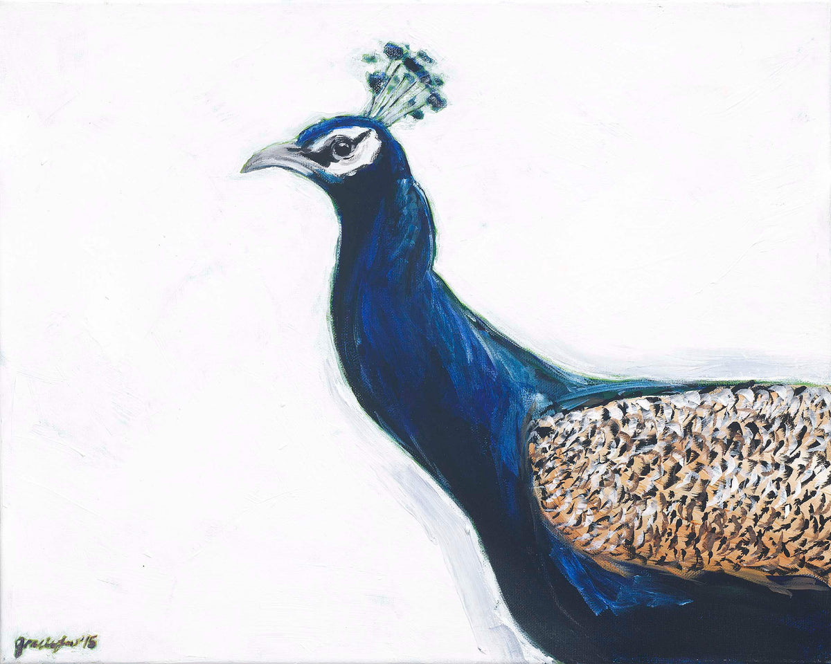 Peacock