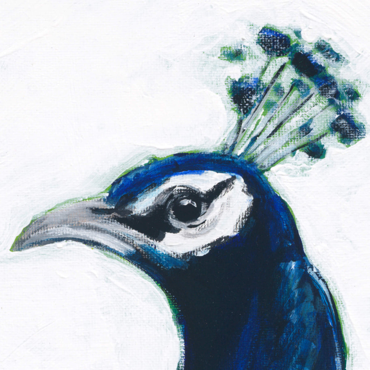 Peacock