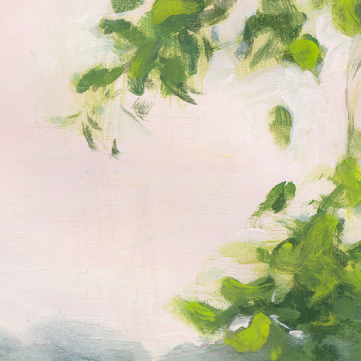 Willow
