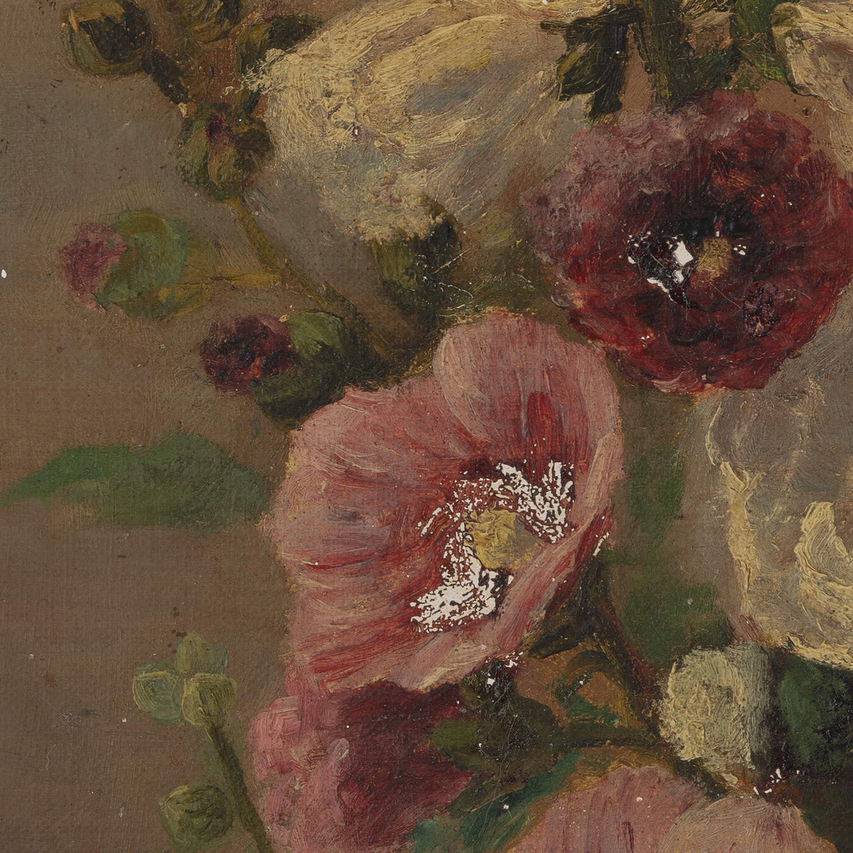 Hollyhocks