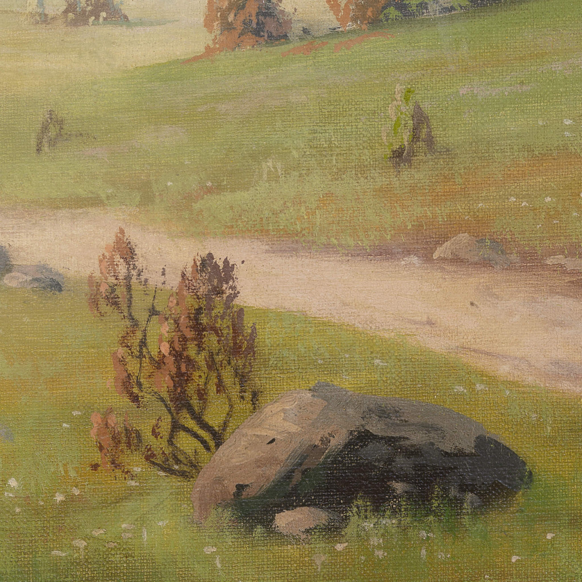 Stream Walk